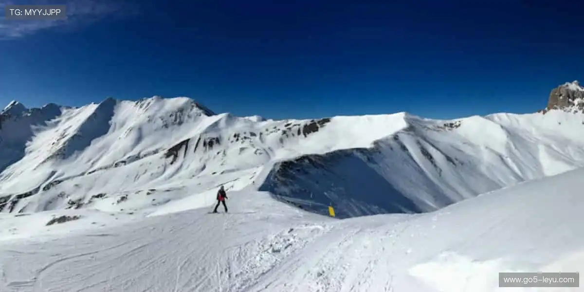 巅峰对决，不容错过！🏀✨